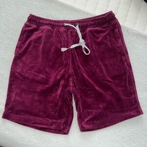 Velour Shorts by Urban Outfitters